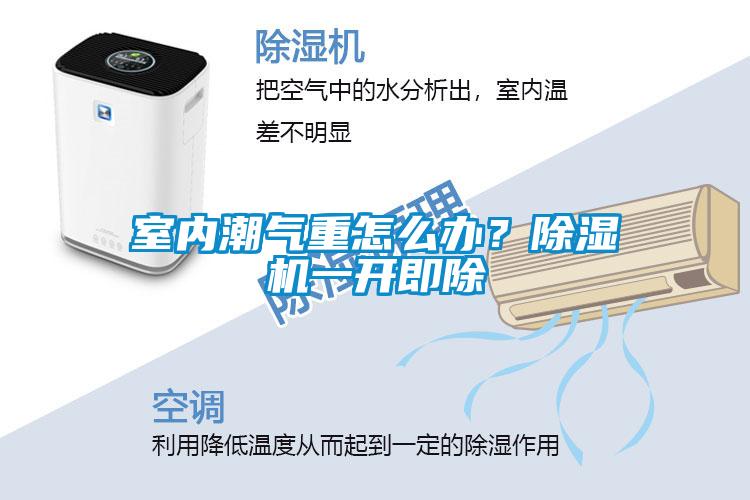 室內(nèi)潮氣重怎么辦？除濕機(jī)一開(kāi)即除