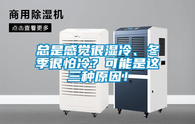 總是感覺(jué)很濕冷、冬季很怕冷？可能是這三種原因！