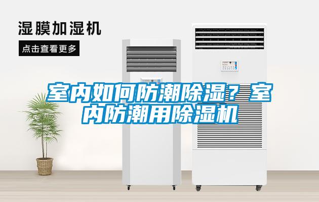 室內(nèi)如何防潮除濕？室內(nèi)防潮用除濕機(jī)