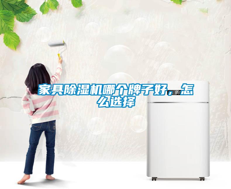 家具除濕機哪個牌子好，怎么選擇