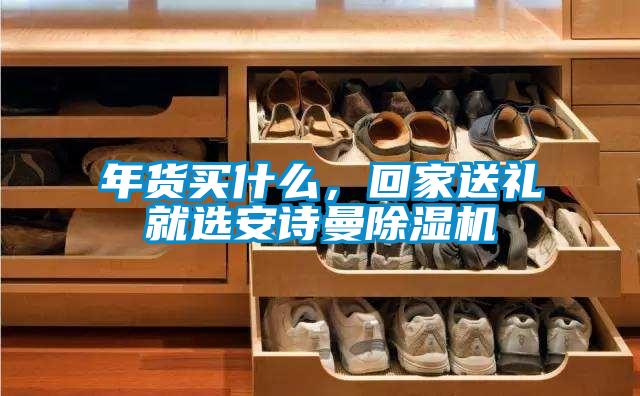 年貨買什么，回家送禮就選安詩曼除濕機