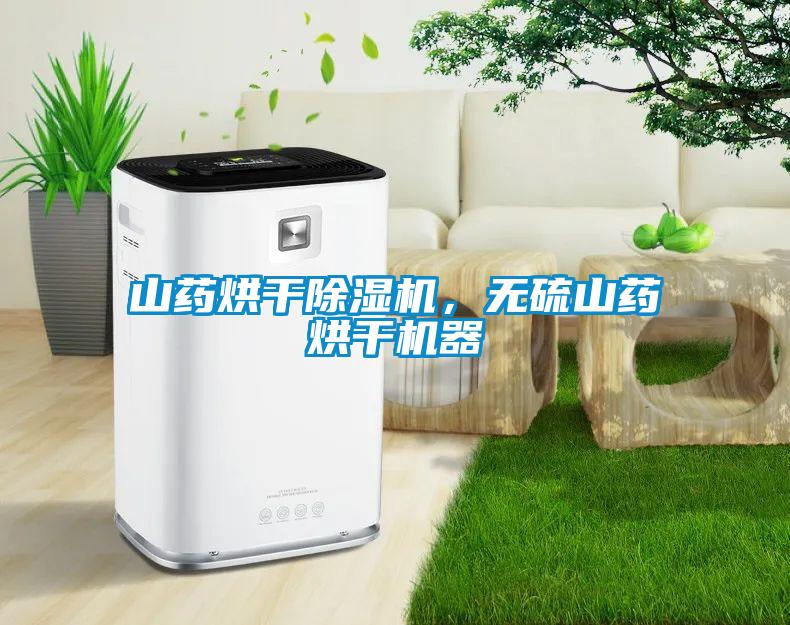 山藥烘干除濕機，無硫山藥烘干機器