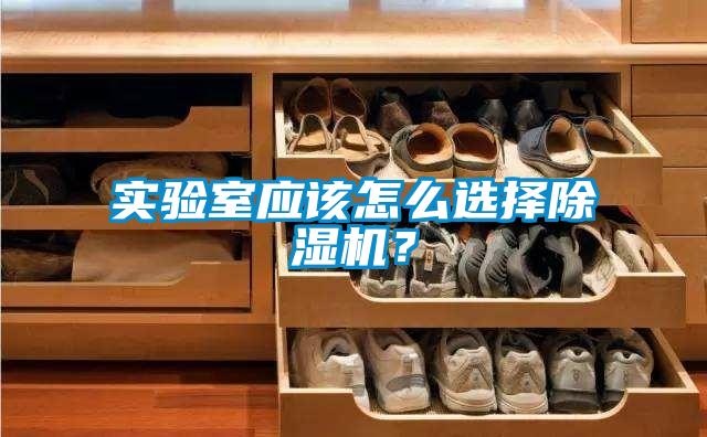 實驗室應(yīng)該怎么選擇除濕機？