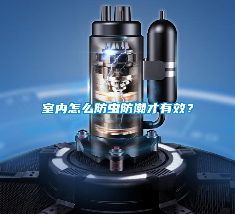 室內(nèi)怎么防蟲防潮才有效？