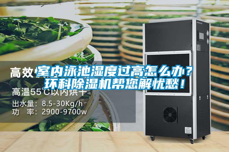 室內泳池濕度過高怎么辦？環科除濕機幫您解憂愁！