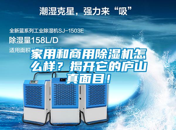 家用和商用除濕機怎么樣？揭開它的廬山真面目！