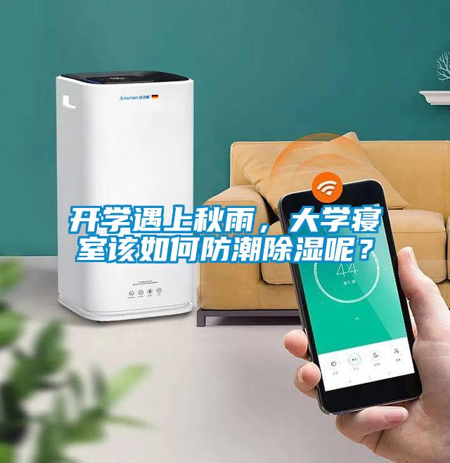 開學遇上秋雨，大學寢室該如何防潮除濕呢？