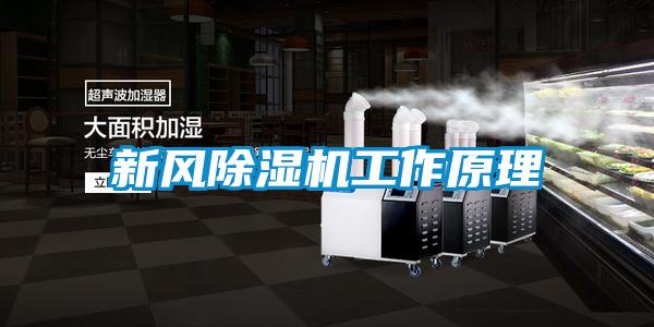 新風(fēng)除濕機工作原理