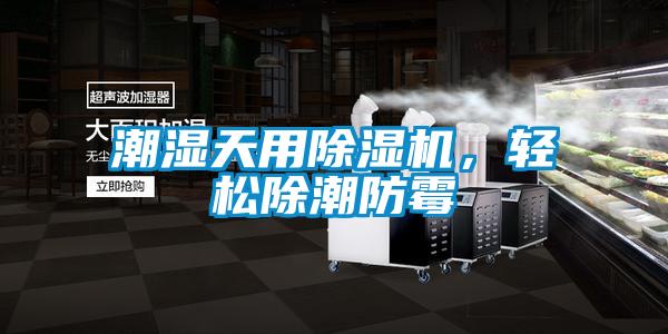 潮濕天用除濕機，輕松除潮防霉