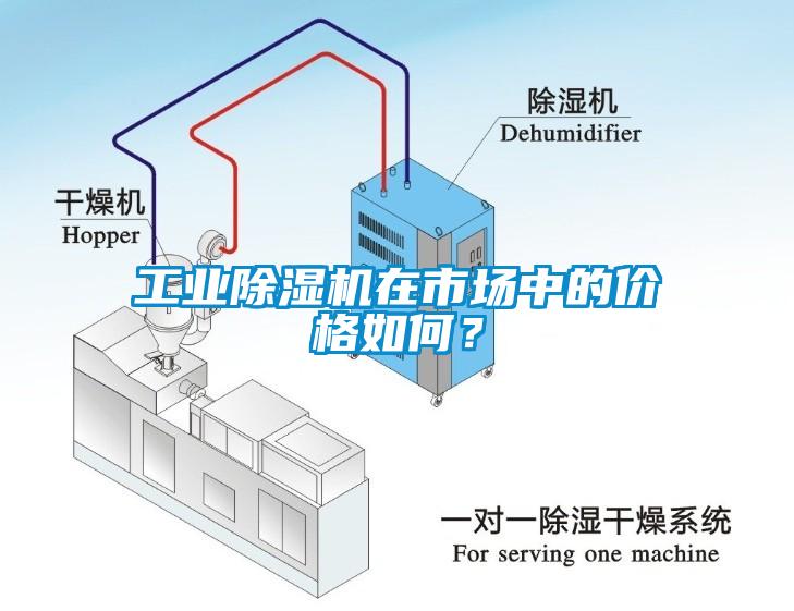 工業除濕機在市場中的價格如何？