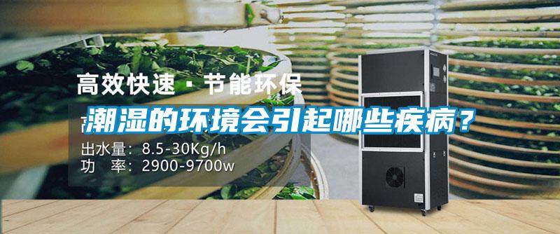 潮濕的環境會引起哪些疾病？