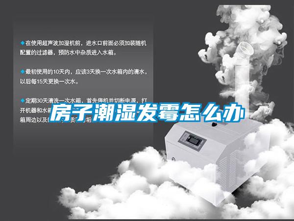 房子潮濕發霉怎么辦