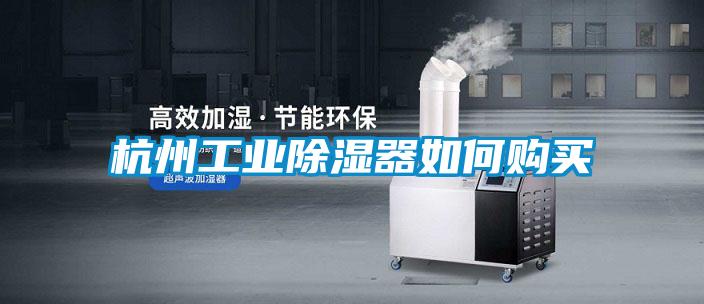 杭州工業(yè)除濕器如何購(gòu)買
