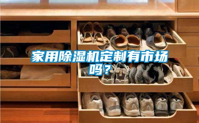 家用除濕機定制有市場嗎？