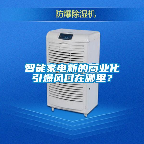 智能家電新的商業(yè)化引爆風口在哪里?