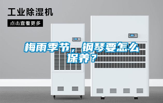 梅雨季節，鋼琴要怎么保養？
