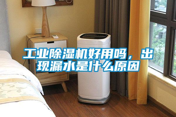 工業除濕機好用嗎，出現漏水是什么原因