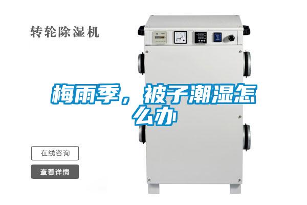 梅雨季，被子潮濕怎么辦