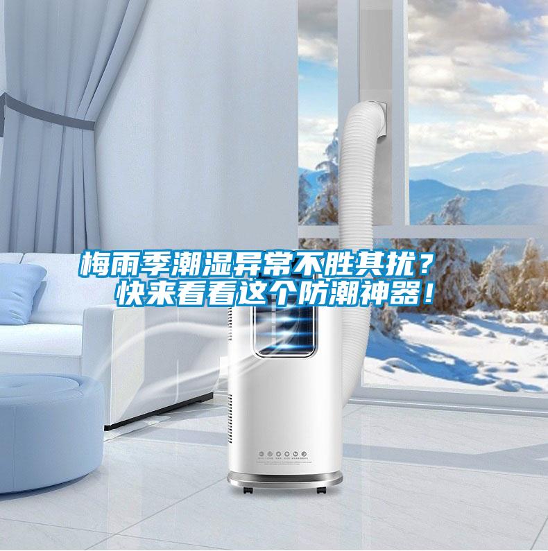 梅雨季潮濕異常不勝其擾？ 快來看看這個防潮神器！