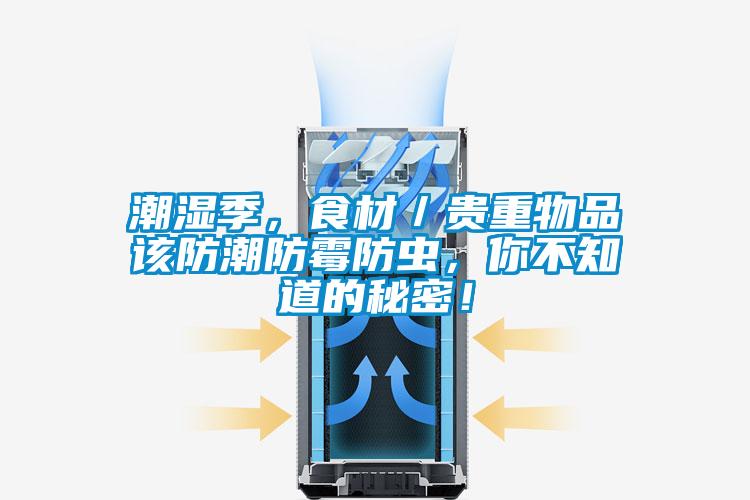 潮濕季，食材／貴重物品該防潮防霉防蟲，你不知道的秘密！
