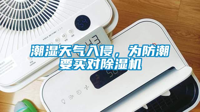 潮濕天氣入侵，為防潮要買對除濕機