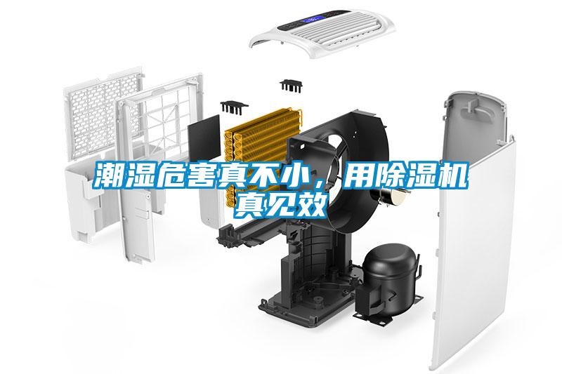 潮濕危害真不小，用除濕機真見效