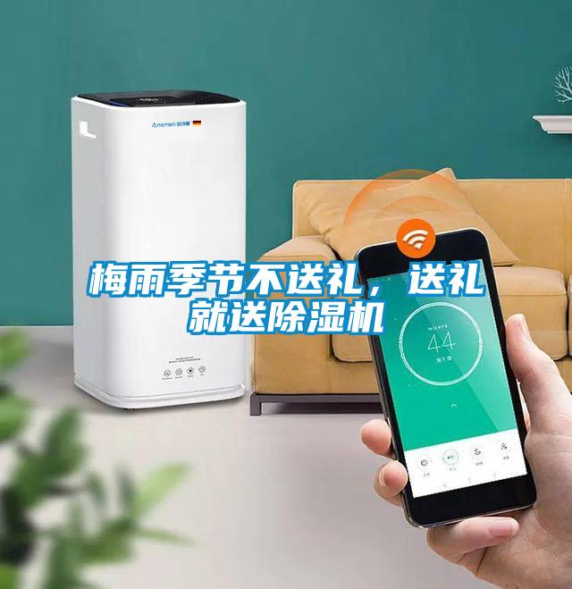 梅雨季節不送禮，送禮就送除濕機