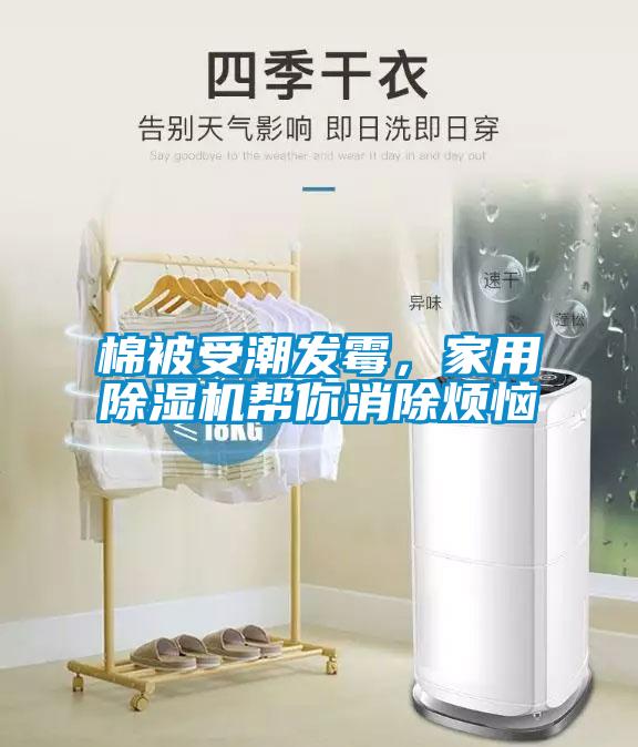 棉被受潮發霉，家用除濕機幫你消除煩惱