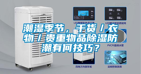 潮濕季節，干貨／衣物／貴重物品除濕防潮有何技巧？