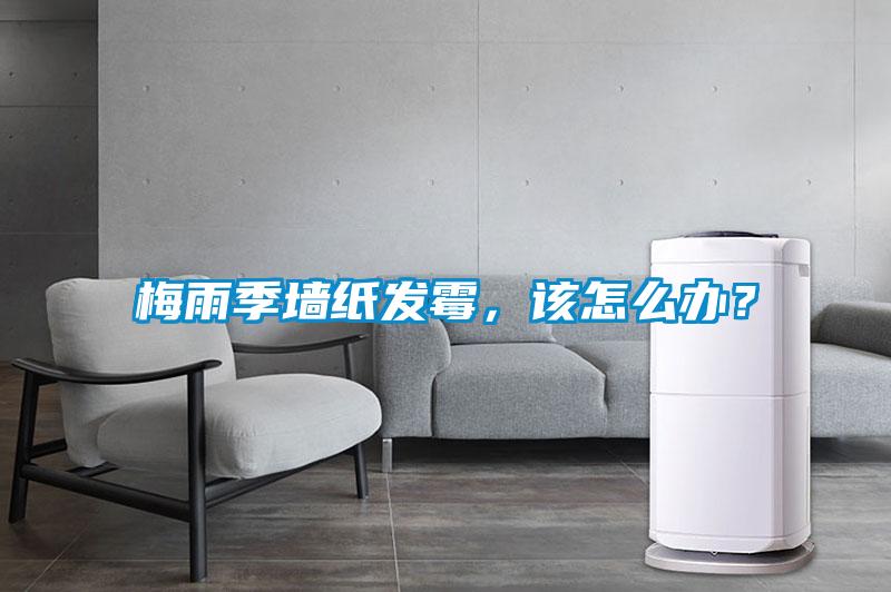 梅雨季墻紙發霉，該怎么辦？