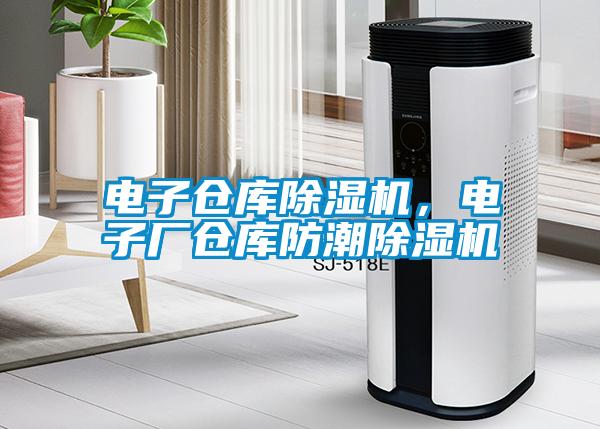 電子倉庫除濕機，電子廠倉庫防潮除濕機