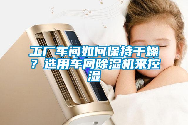 工廠車間如何保持干燥？選用車間除濕機(jī)來(lái)控濕