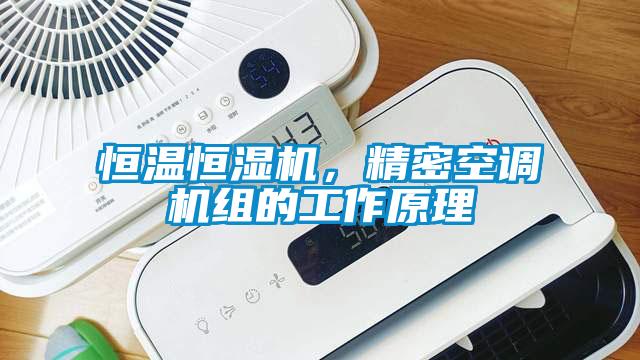 恒溫恒濕機(jī)，精密空調(diào)機(jī)組的工作原理