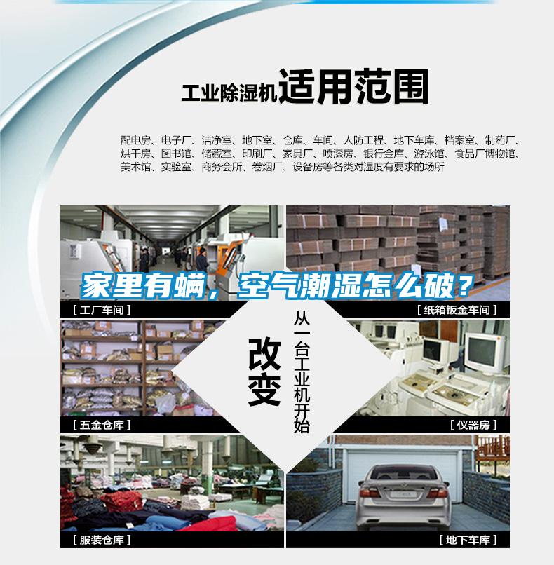家里有螨，空氣潮濕怎么破？