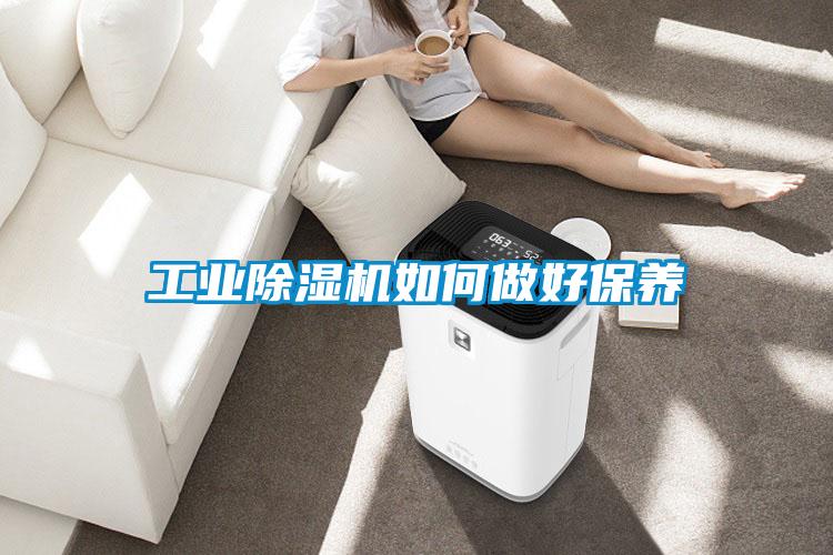 工業(yè)除濕機如何做好保養(yǎng)