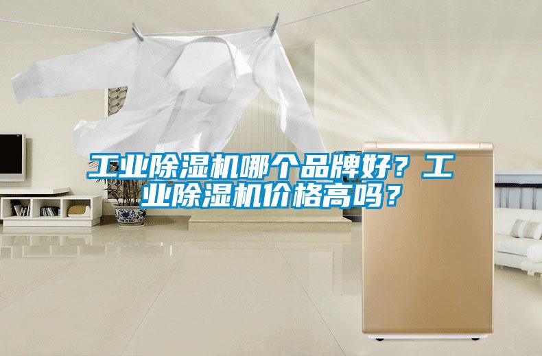 工業除濕機哪個品牌好？工業除濕機價格高嗎？