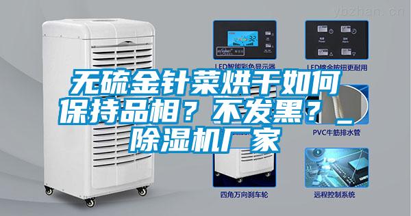 無硫金針菜烘干如何保持品相？不發黑？_除濕機廠家
