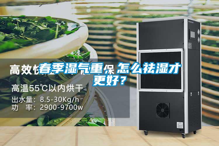春季濕氣重，怎么祛濕才更好？
