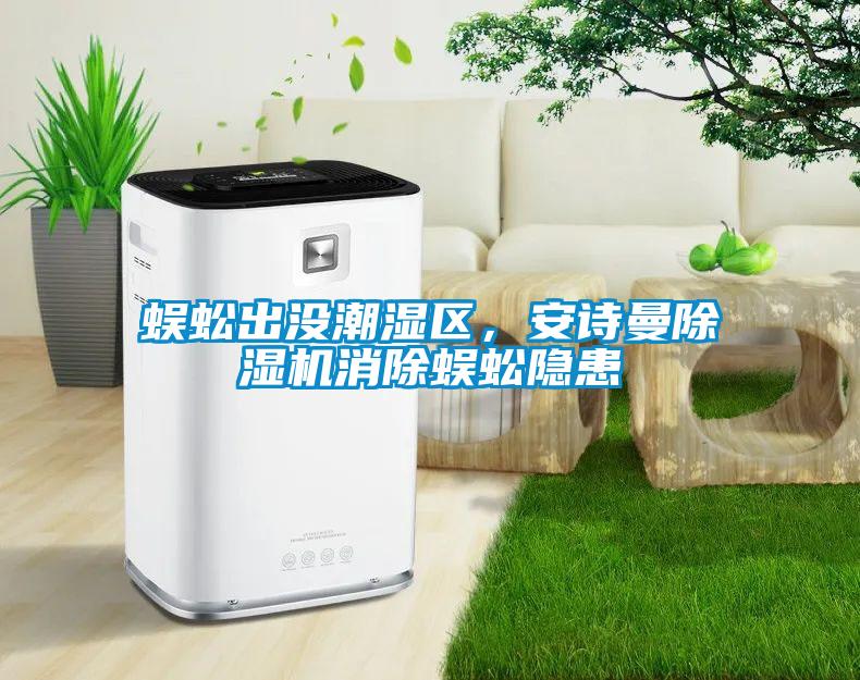 蜈蚣出沒潮濕區,安詩曼除濕機消除蜈蚣隱患