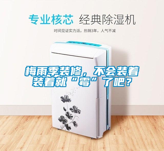 梅雨季裝修，不會裝著裝著就“霉”了吧？