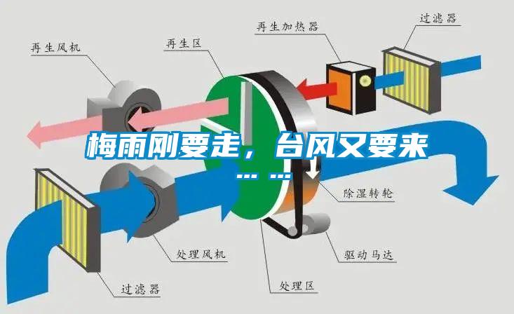 梅雨剛要走，臺風又要來……