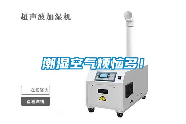 潮濕空氣煩惱多！