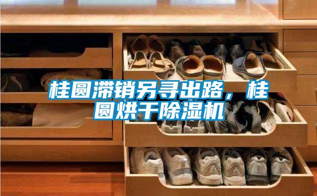 桂圓滯銷另尋出路，桂圓烘干除濕機