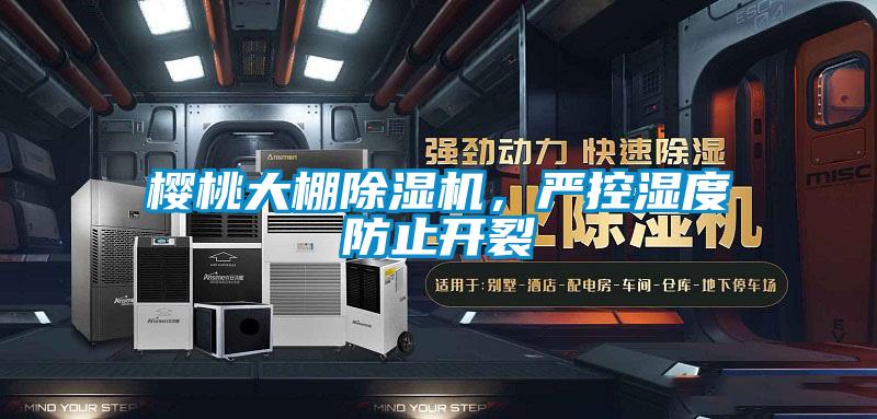 櫻桃大棚除濕機(jī)，嚴(yán)控濕度防止開(kāi)裂