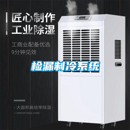 檢漏制冷系統
