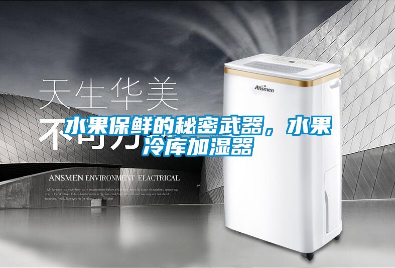 水果保鮮的秘密武器，水果冷庫加濕器