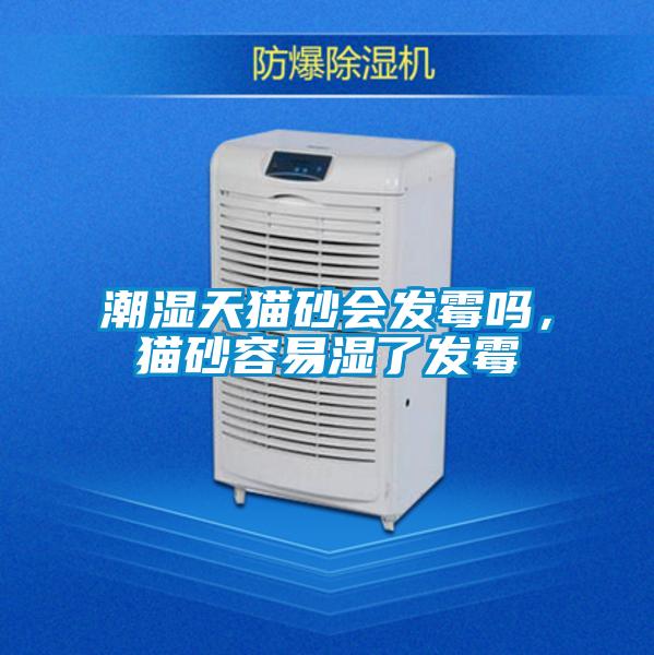 潮濕天貓砂會發(fā)霉嗎，貓砂容易濕了發(fā)霉