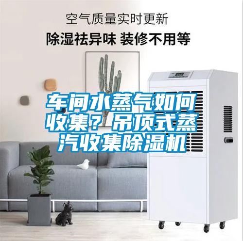 車(chē)間水蒸氣如何收集？吊頂式蒸汽收集除濕機(jī)
