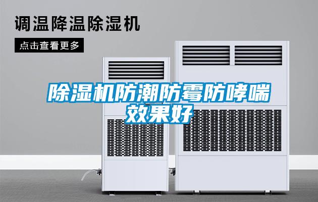 除濕機防潮防霉防哮喘效果好
