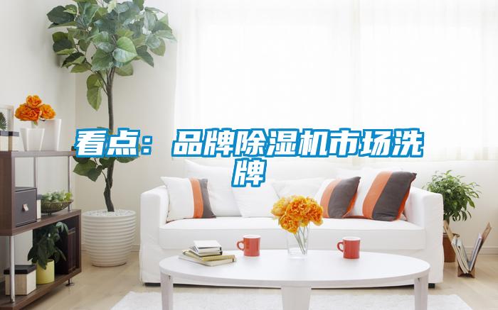 看點(diǎn)：品牌除濕機(jī)市場(chǎng)洗牌